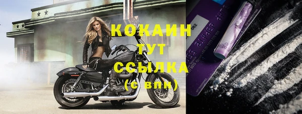 стафф Осинники