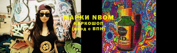 стафф Осинники