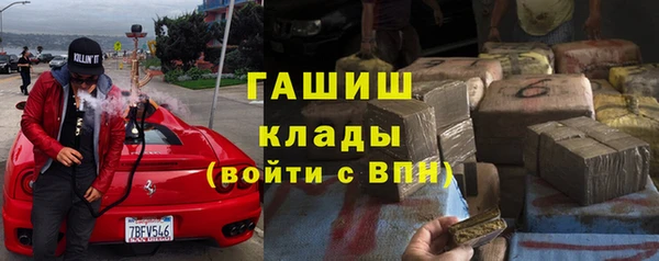 стафф Осинники