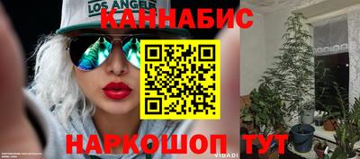 прущие грибы Гай