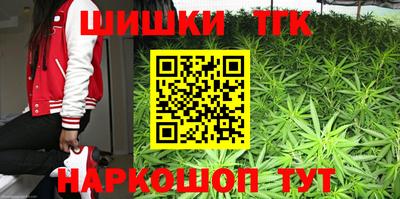 СК Гагарин