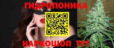 СК Гагарин