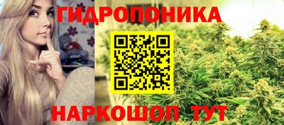 прущие грибы Гай