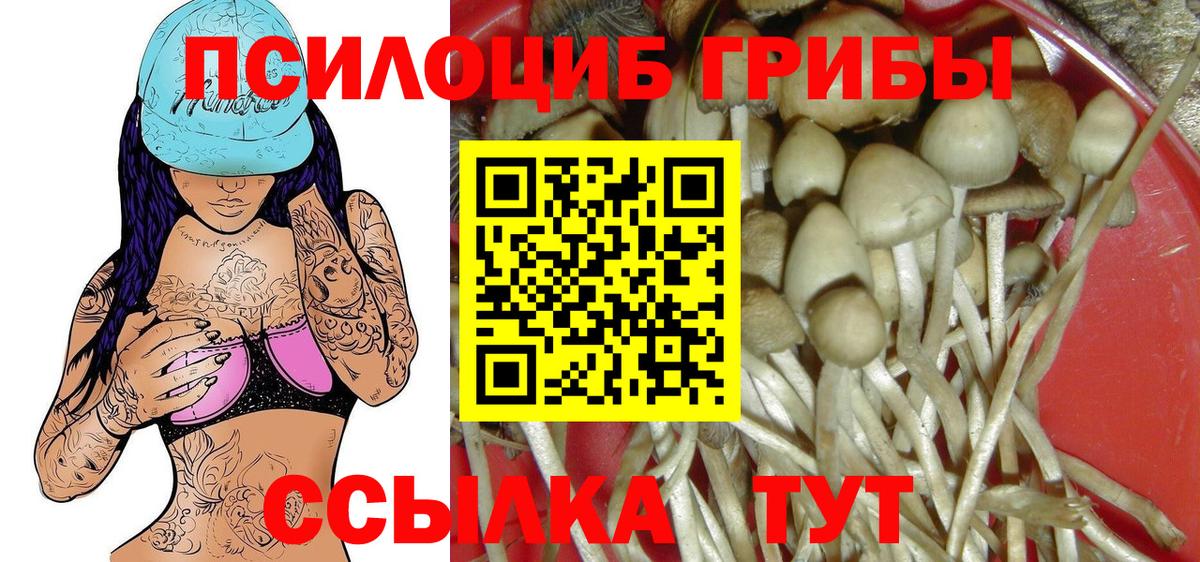 Галлюциногенные грибы Psilocybe  Вход с VPN  Туймазы 