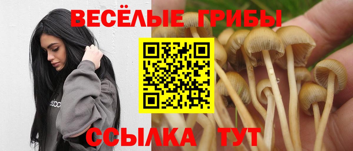 Псилоцибиновые грибы мухоморы Туймазы