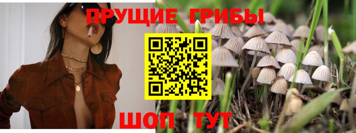 Галлюциногенные грибы GOLDEN TEACHER  Туймазы 
